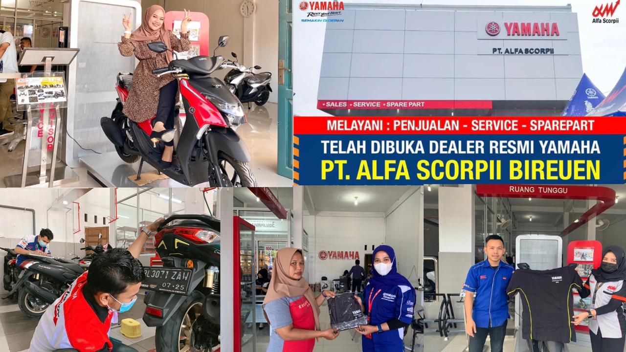 Main dealer clearance yamaha